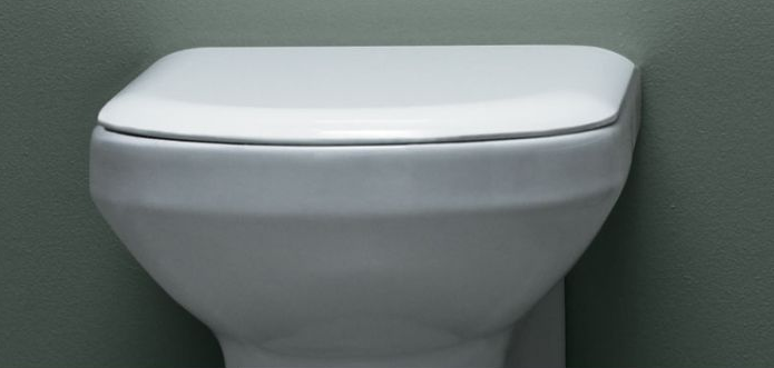 What Makes Square Shaped Toilet Seat Popular – A Sneak Peek
