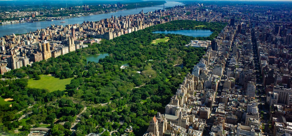 What to expect from the best Central Park Horse and Carriage Tours in NYC