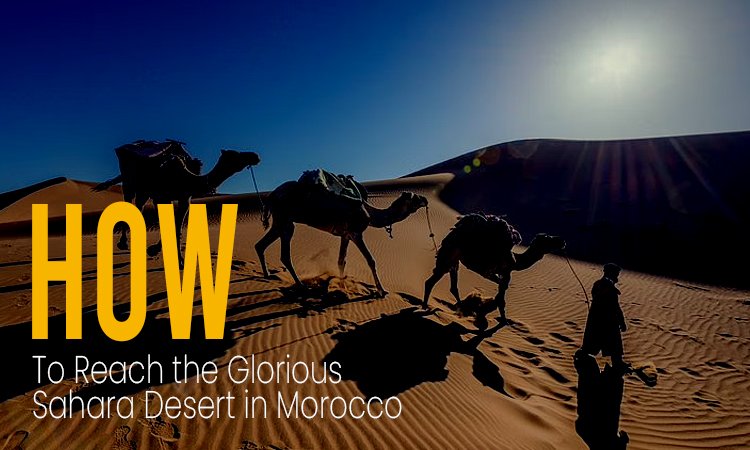 How to Reach the Glorious Sahara Desert in Morocco