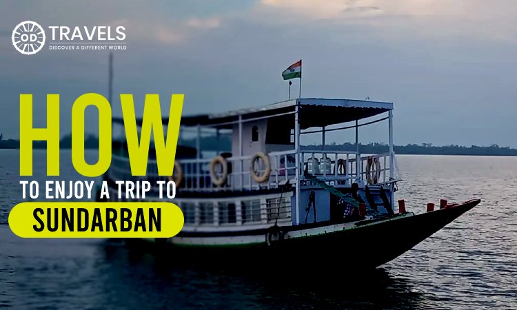 How to Enjoy a Trip to Sundarban