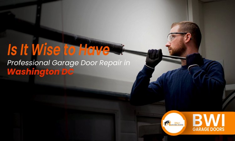 Is It Wise to Have Professional Garage Door Repair in Washington DC