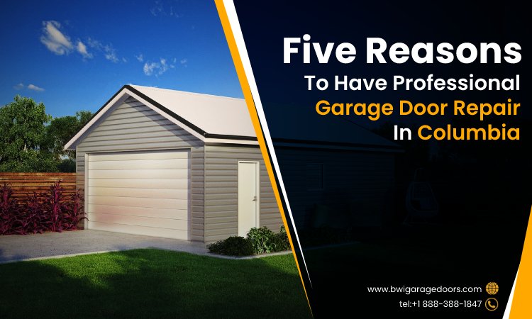 Five Reasons to Have Professional Garage Door Repair in Columbia