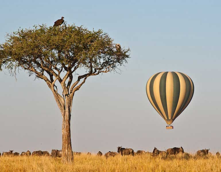 Masai Mara balloon safari- an extraordinary way to experience the wild