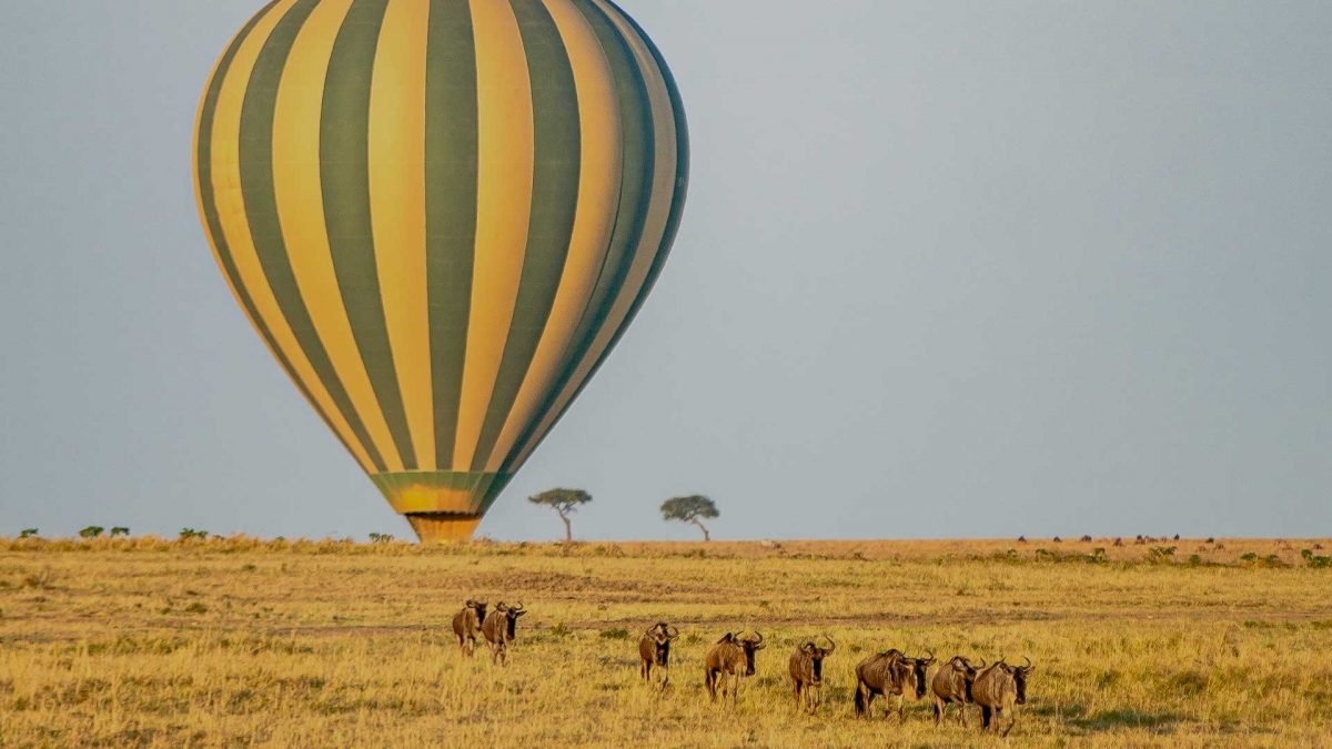 Masai Mara Balloon Safari- Explore The Masai Mara Region From A Different Perspective