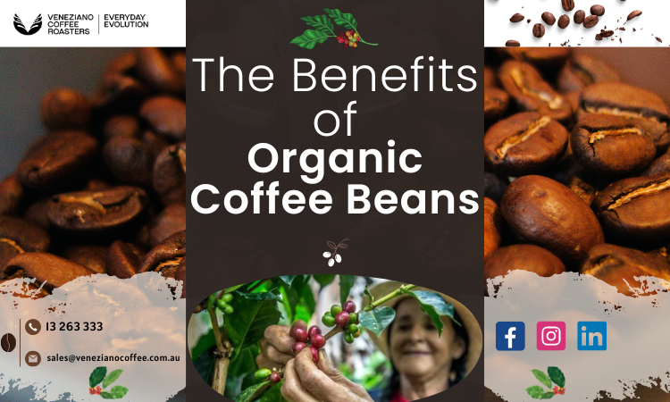 The Benefits of Organic Coffee Beans