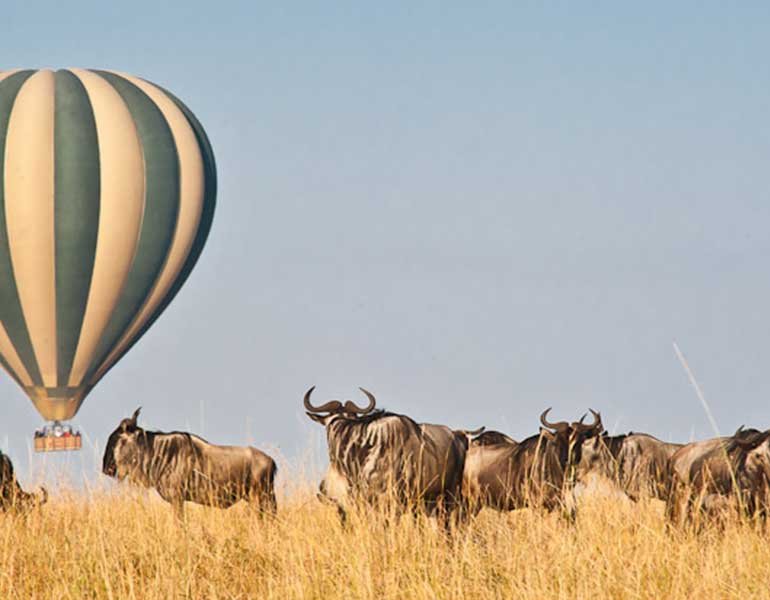 Enjoy a view of the Masai Mara region from above on a Hot Air Balloon Safari