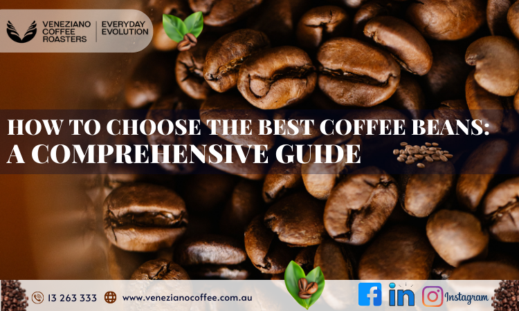 How to Choose the Best Coffee Beans: A Comprehensive Guide