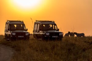 Africa safari