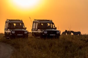 Few amazing facts that make Tanzania tours and safaris unique