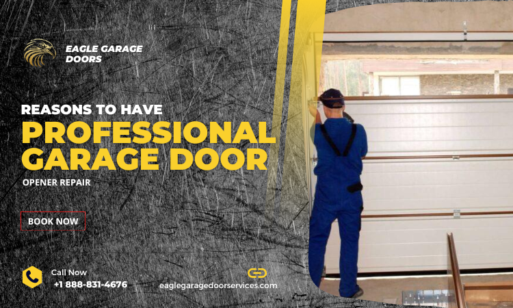 Reasons to Have Professional Garage Door Opener Repair in Beltsville MD