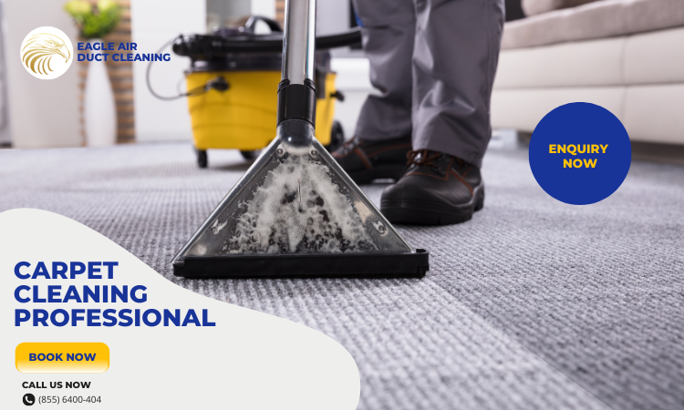 Why You Need To Hire a Best Carpet Cleaning Professional