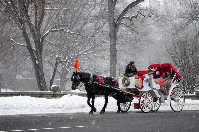 Explore Central Park in Style: Horse and Carriage Rides by Central Park Carriages