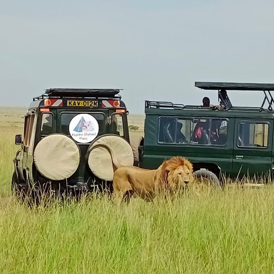 Experience Thrilling African Safari Tours in Kenya’s Breathtaking Landscapes