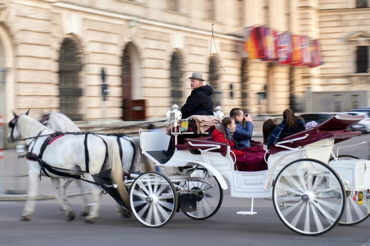 Timeless Elegance: Central Park Horse and Carriage Rides