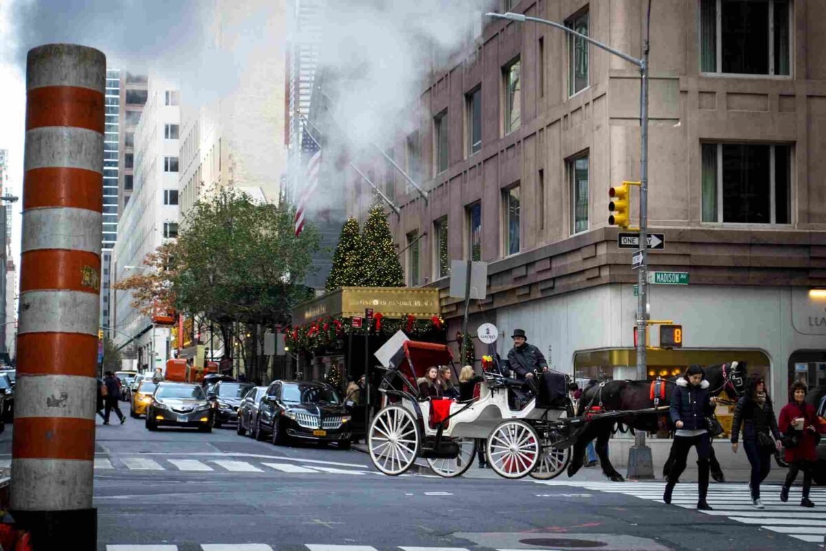 Captivating Elegance: The Timeless Appeal of NYC Horse Carriage Rides