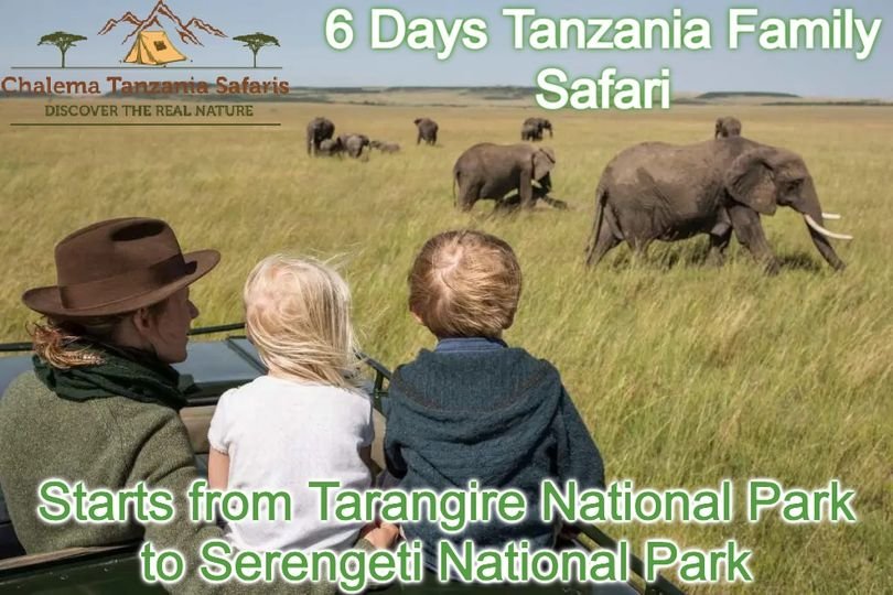 The best 6 Days Tanzania Safari