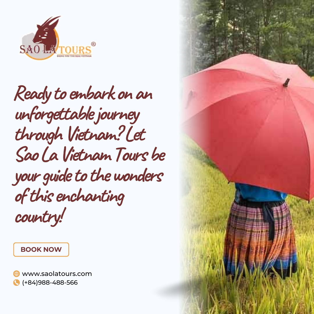 Tours Through Vietnam