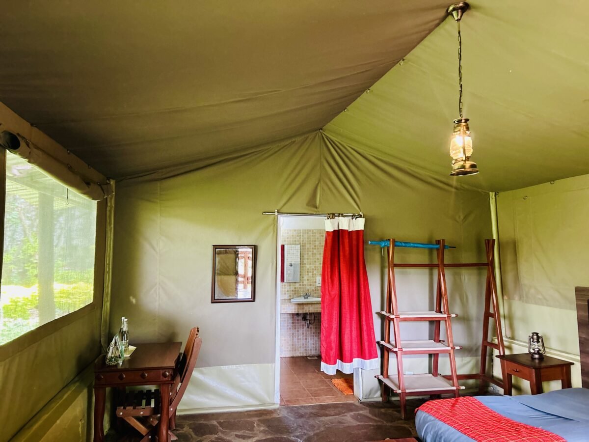 Top Activities to Enjoy While Staying in Tented Accommodations