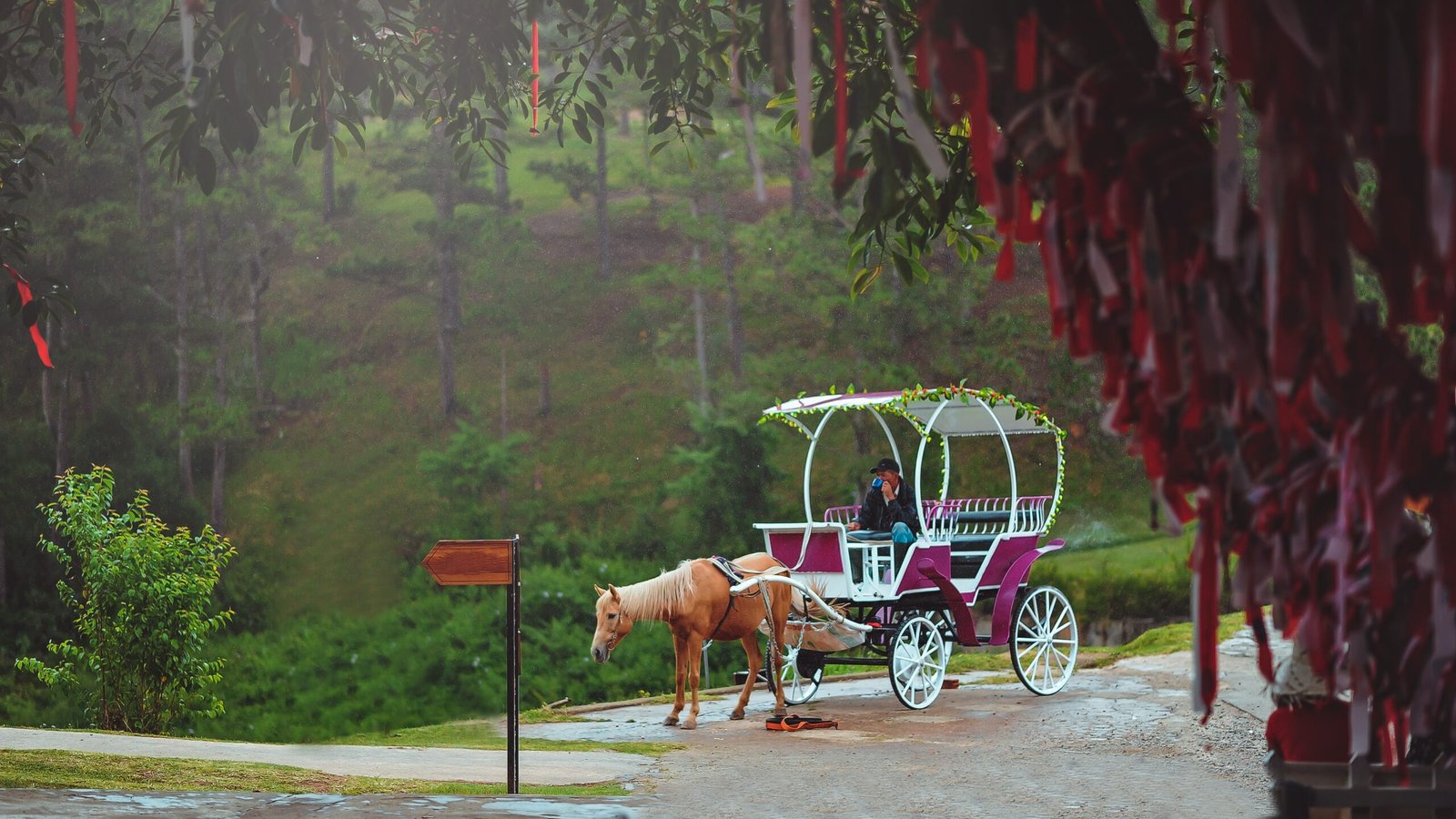 Book Carriage Ride