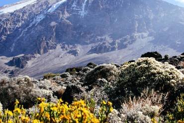 Choosing the Perfect Mount Kilimanjaro Climbing Itinerary for Your Adventure