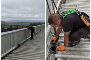 commercial gutter cleaning