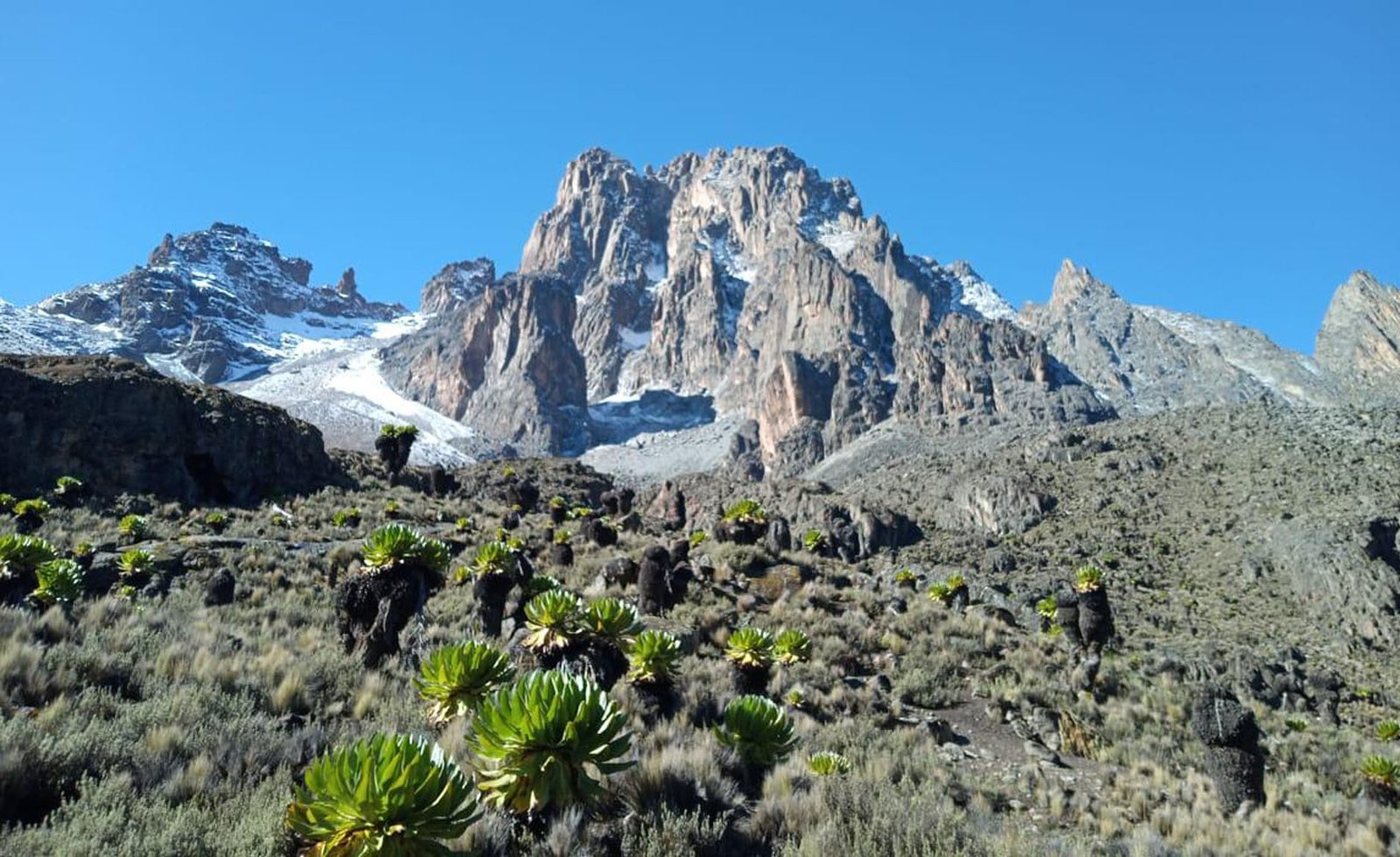 Chogoria Route Mount Kenya