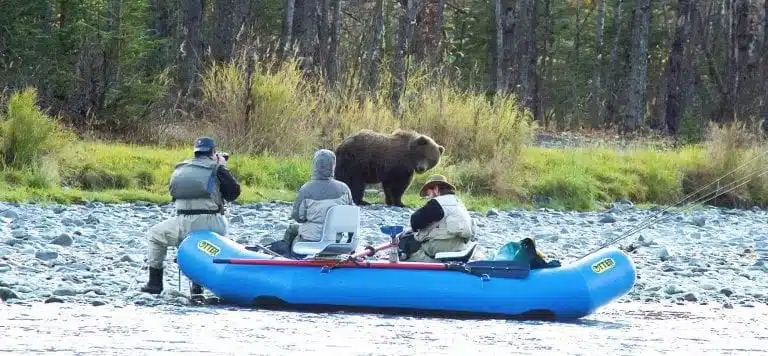 Alaska Hiking Tours