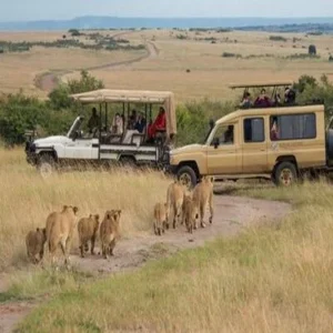 safari tanzania